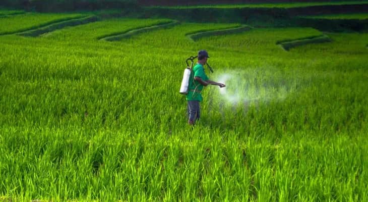 ‘সার বিক্রি কবর না’, এবার ঘোষণা জলপাইগুড়ি ও ধূপগুড়ির ব্যবসায়ীদের