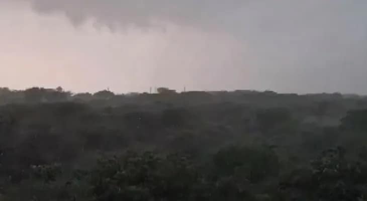 নয়াদিল্লির একাধিক জায়গায় ব্যাপক বৃষ্টি