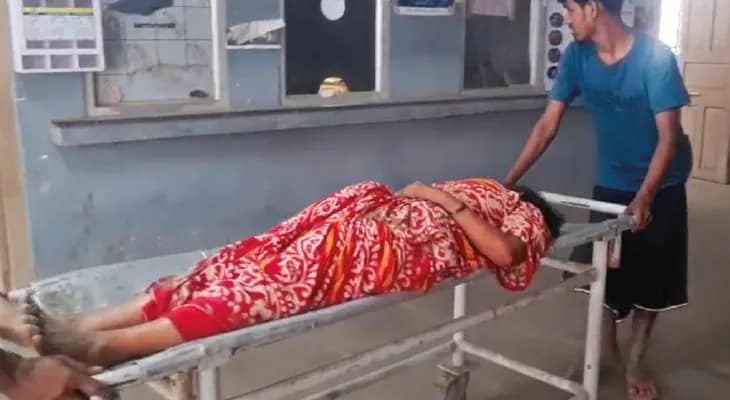 দেগঙ্গায় ইট রাখা নিয়ে অন্তঃসত্ত্বাকে মার, সম্পত্তি বিবাদে ছেলের হাতে আক্রান্ত বাবা