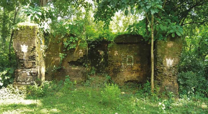 ৩০০ বছর আগে পরিত্যক্ত জঙ্গলঘেরা ভাঙা মন্দিরেই হয় দশভূজার আরাধনা