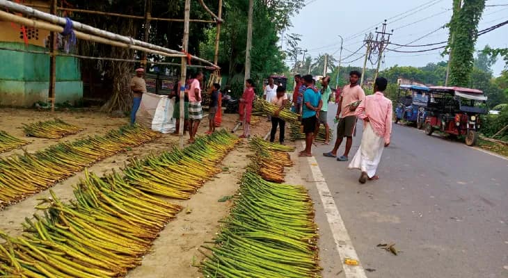 শোলার চাহিদা দিনদিন কমছে, পেশা নিয়ে চিন্তায় পুরাতন মালদহের ব্যবসায়ীরা