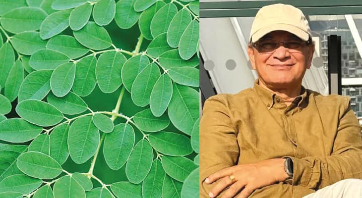 বার্ধক্য রোধে সজনে পাতা! বাঙালির নেতৃত্বে গবেষণা