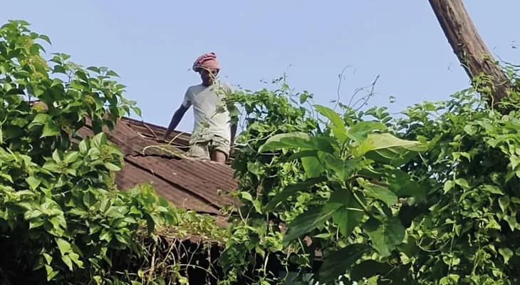সুইমিং পুল তৈরির জন্য আলিপুরদুয়ারে পরিত্যক্ত মায়া টকিজ ভাঙার কাজ শুরু করল প্রশাসন