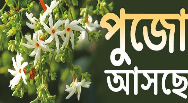 আইকন ব্যোমিকা, সোফিয়া, গ্রামীণ পুজোর থিমে ‘আঠারোর আগে বিয়ে নয়’