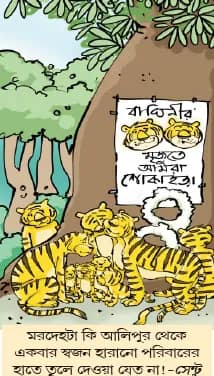 মজারু