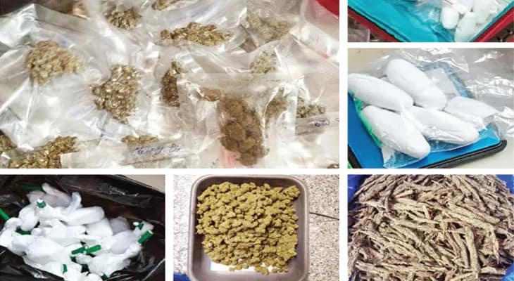 যাদবপুরে বসে ব্যাংকক থেকে ‘ড্রাগ’ আমদানি! কিংপিন তৌসিফ গ্রেফতার, উদ্ধার ২৬ কোটির কোকেন-গাঁজা