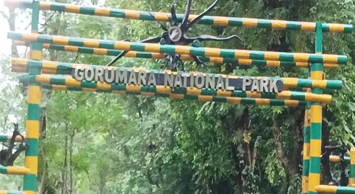 মঙ্গলবার থেকে খুলছে গোরুমারা ও জলদাপাড়া, পর্যটকদের জন্য একগুচ্ছ আকর্ষণ থাকছে