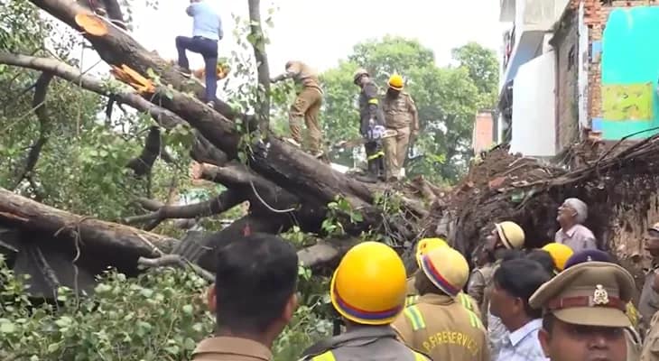 লখনউয়ের কাইজারবাগে ঝড়ে গাছ ভেঙে পড়ে একজনের মৃত্যু