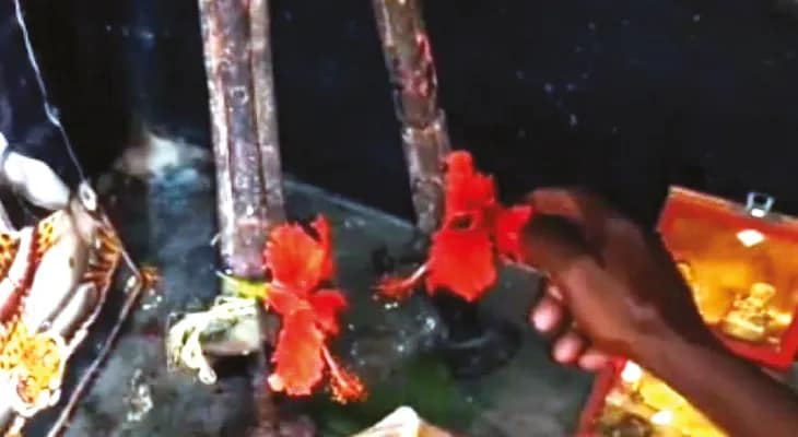 নিশুতি রাতে বাঘের পিঠে ঘুরে বেড়ান দেবী দুর্গা! চারশো বছরের মিথ আঁকড়ে পুজো, পুরোহিত বাগদিরা