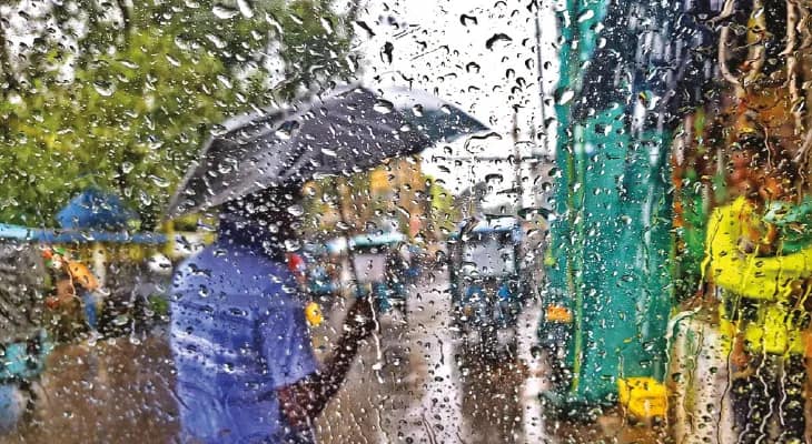 জেলায় ডাবল সেঞ্চুরি হাঁকাল ডেঙ্গু, পুজোয় বাড়তি সতর্কতা জেলা প্রশাসনের
