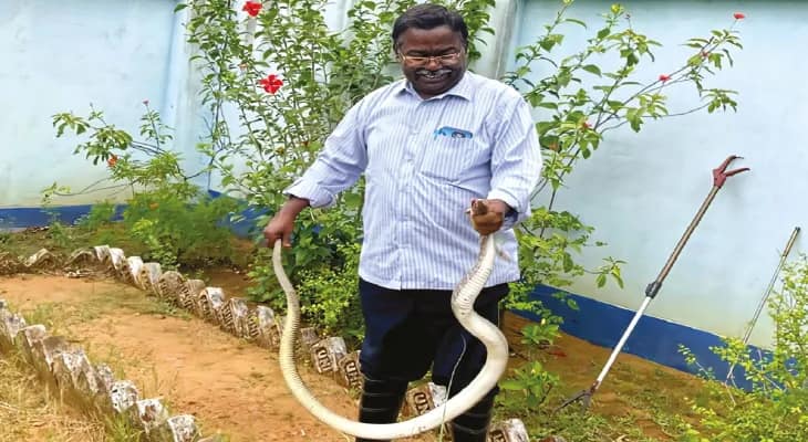 সাপের ‘বন্ধু’ দীনবন্ধু, শিক্ষকতার পেশা সামলে রাতে ছোটেন রক্ষাকর্তার ভূমিকায়