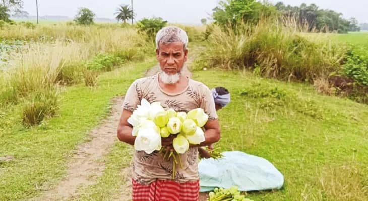 খণ্ডঘোষে বাবরের চাষ করা পদ্ম ঠাঁই পাবে মা দুর্গার চরণে