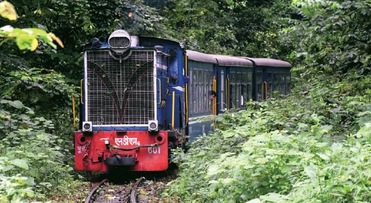 নবমী পর্যন্ত ভারী বৃষ্টির সম্ভাবনা নেই উত্তরে, জানাল হাওয়া অফিস