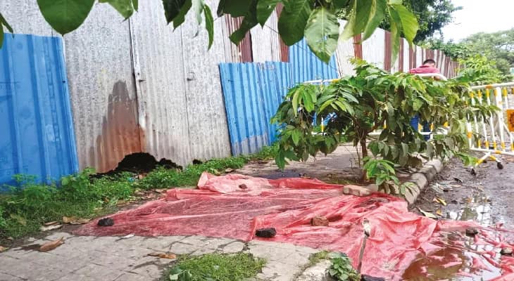 রেসের মাঠ, শেয়ার বাজারে টাকা লাগিয়ে নিঃস্ব, মাথায় গুলি চালিয়ে আত্মহত্যা যুবকের