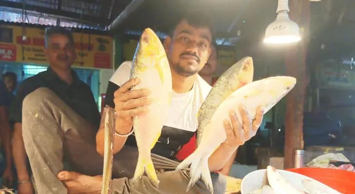 বাজারে মিলছে পদ্মার ইলিশ, কিনতে হুড়োহুড়ি, দাম কত?
