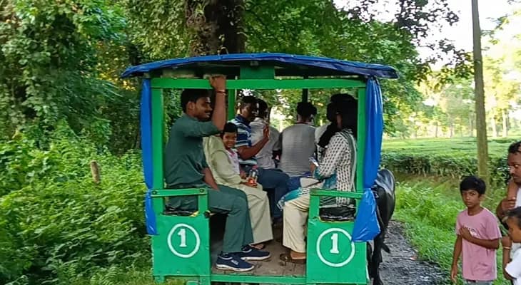 ডুয়ার্সের জঙ্গলে গবাদি পশুর গাড়িতে চেপে ভ্রমণ, মুগ্ধ পর্যটকরা