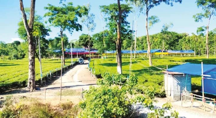 নিউ জামালদহ টি গার্ডেনের দুর্গাপুজো শ্রমিক পরিবারের মিলনক্ষেত্র