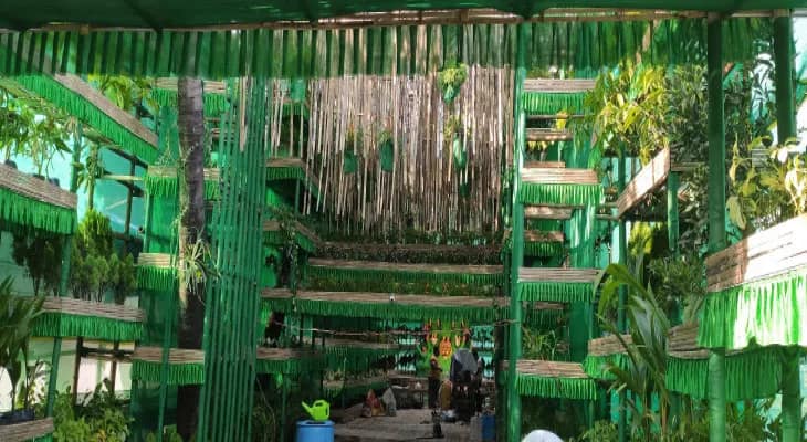মৈত্র সংঘের থিম ‘ধৃতি’, সবুজের সংকল্পে মণ্ডপ সাজিয়েছে কোচবিহারের রকি ক্লাব