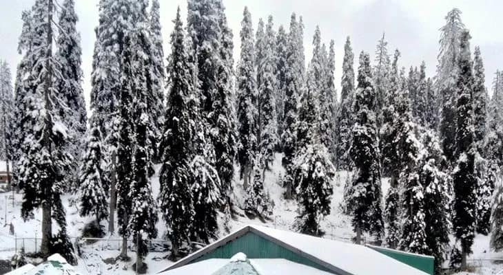 মরশুমের প্রথম তুষারপাত গুলমার্গে, পর্যটক বৃদ্ধির আশায় কাশ্মীরবাসী