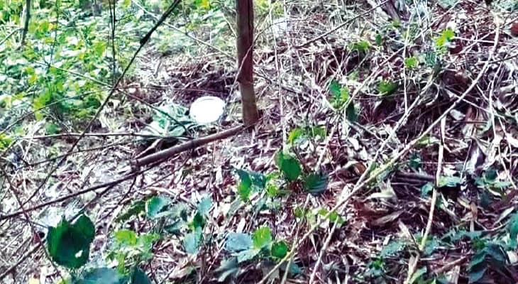 রেজিনগরে বোমা বাঁধার সময় বিস্ফোরণে এক দুষ্কৃতীর মৃত্যু, জখমদের খোঁজে তল্লাশি পুলিশের, ৯১টি সকেট বোমা উদ্ধার