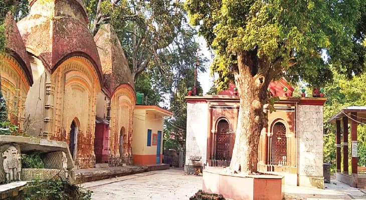 আজ দোহালিয়ায় দক্ষিণা কালীর আবির্ভাব তিথি নিয়ে প্রস্তুতি তুঙ্গে