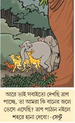 মজারু