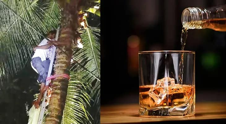 মদের নেশায় নারকেল গাছের  মাথায়, নামাল দমকল-পুলিশ