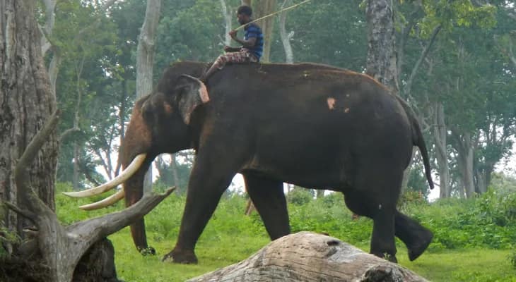 প্রাকৃতিক বিপর্যয়ে আস্তানা-পাঠশালা বিপর্যস্ত হলেও দুর্গতদের উদ্ধারে তৎপর কুনকির দল