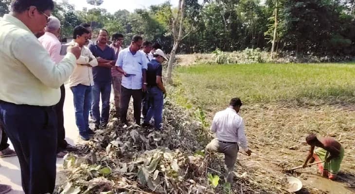 শালকুমারে ডলোমাইট মিশ্রিত পলি পড়ে নষ্ট আমন ধানের চাষ