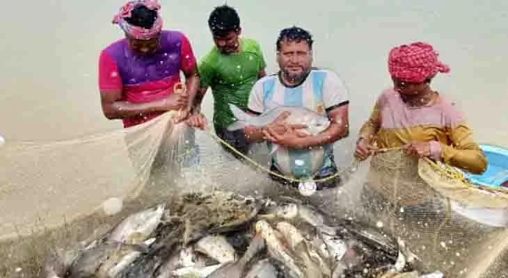 মাছ উৎপাদনে সর্বকালীন রেকর্ড গড়েও রাজ্যে দ্বিতীয় স্থানেই দক্ষিণ ২৪ পরগনা, চমকপ্রদ উত্থানে প্রথম উত্তর ২৪ পরগনা