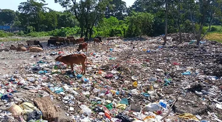 জলপাইগুড়ি শহরের মাঝে অলিখিত ডাম্পিং গ্রাউন্ড, প্রতিবাদে সরব বাসিন্দারা