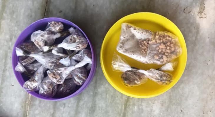 ডেলিভারি দিতে এসে ধরা পড়ল স্থানীয়দের হাতে, পুরিয়া ফেলে চম্পট হেরোইনের ফেরিওয়ালার