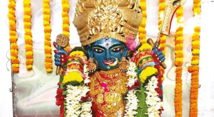 স্বপ্নাদেশ থেকে তৈরি নিম কাঠের মূর্তি, মায়ের নির্দেশেই বন্ধ বলি প্রথা