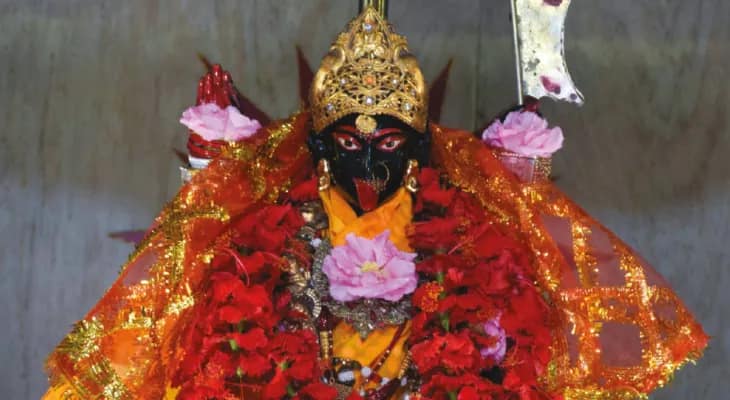 সীমান্তে কালীমন্দিরের পুজো ঘিরে মেতে ওঠে বিএসএফও