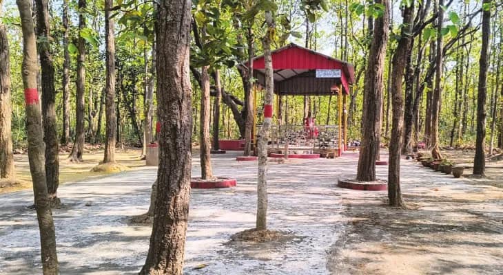 আউশগ্রামে আদুরিয়ার জঙ্গলে আলো নিভিয়ে চলে শালকো কালীর আরাধনা