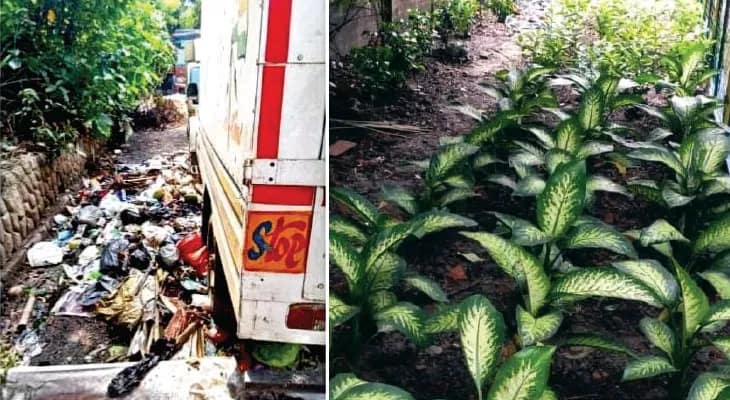 রাস্তার ধারে খোলা ভ্যাট সাফ করে তৈরি বাগান, ডেভিড হেয়ার ট্রেনিং কলেজ সংলগ্ন এলাকায় পরিবেশ রক্ষার উদ্যোগ