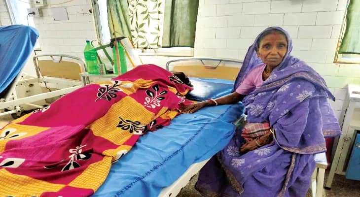 গাছে শাড়ি বেঁধে কুমিরের মুখ থেকে  রক্ষা মহিলার, বরাতজোরে বাঁচল প্রাণ