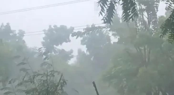 তামিলনাড়ুর নাগাপট্টিনমে ভারী বৃষ্টি