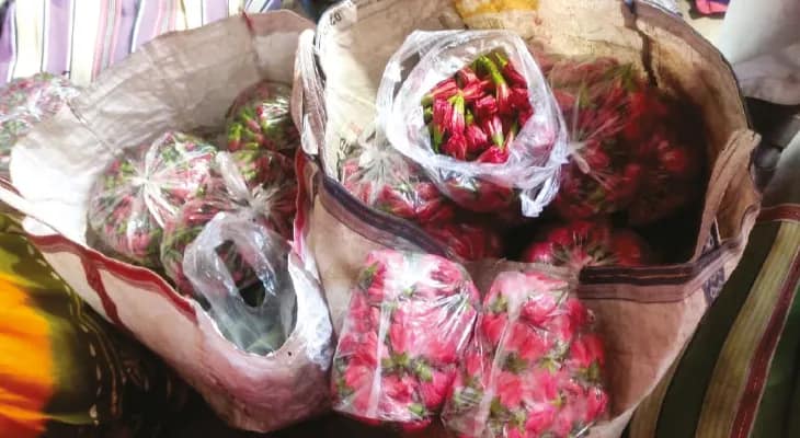 ঠাকুরনগর বাজারে হাজার পিস  জবার দর উঠল দু’হাজার টাকা