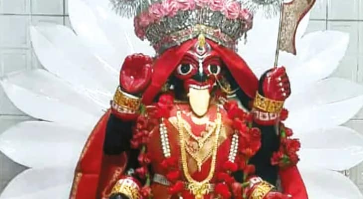 জয়নগরের ৪০১ বছরের ধন্বন্তরি  মায়ের পুজোয় বিপুল ভক্ত সমাগম