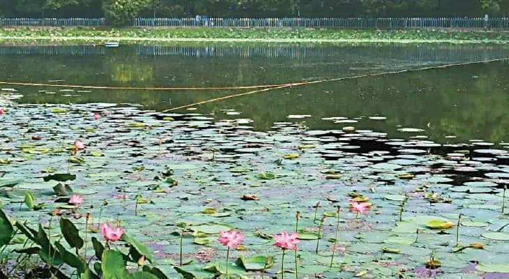 নিয়মের গেরো়য় ড্রেজিং শুরুই করা যাচ্ছে না রবীন্দ্র সরোবরের, গ্রিন ট্রাইবিউনালের দ্বারস্থ কেএমডিএ