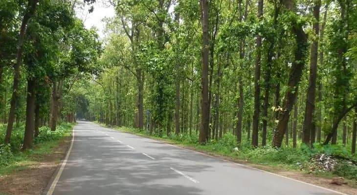 ঝাড়গ্রামে বনসুরক্ষা কমিটির নামে পর্যটকদের থেকেও টাকা আদায়ের অভিযোগ, শোরগোল