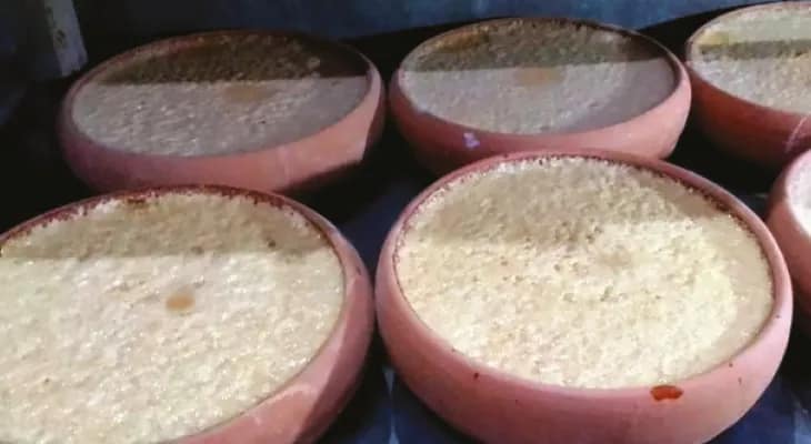 বোল্লা মায়ের আগমনে ভালো ব্যবসার আশায় গঙ্গারামপুরের দই ব্যবসায়ীরা