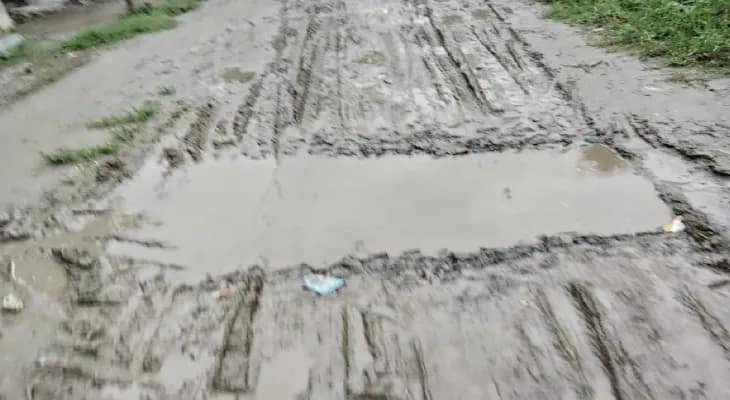 একটি মাত্র রাস্তাই বেহাল, সংস্কার না হওয়ায় সমস্যায় চর মেঘনার বাসিন্দারা