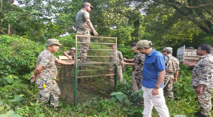 এখনও ধরা পড়েনি চিতাবাঘ, আরও একটি খাঁচা বসানো হল এনবিইউতে