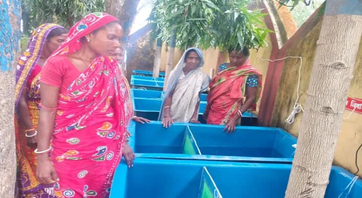 সিফ্রির উদ্যোগে মানবাজার ও পুঞ্চায় মাছচাষ করে স্বনির্ভর হচ্ছেন মহিলারা