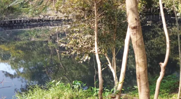 চড়িয়ালের জলে বিষ, রাসায়নিক-বর্জ্য সহ নিকাশির জল মিশছে গঙ্গায়, নষ্ট হচ্ছে পরিবেশ ও জীব-বৈচিত্র্য
