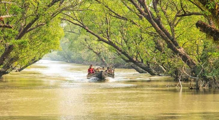 গোয়া-থাইল্যান্ডের ওয়াটার স্পোর্টস সুন্দরবনে? বিশ্ব ব্যাংকের সাহায্যে উন্নয়নের রূপরেখা, বৈঠকে ১২ দপ্তর