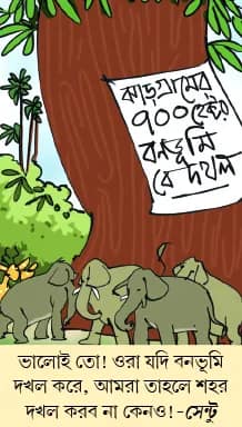 মজারু