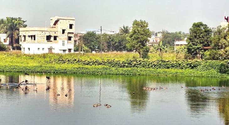শীত পড়তেই ঘাটালের জলাশয়গুলিতে পরিযায়ী পাখির ভিড়, শিকার রুখতে প্রচারে নামল বনদপ্তর